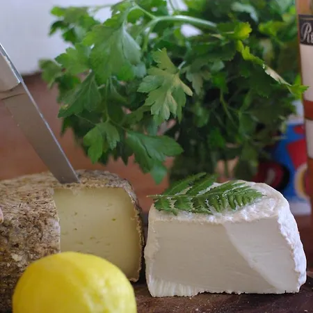 Villa-sebode Mit Pool, Strandnaehe & Klimaanlage Villa *